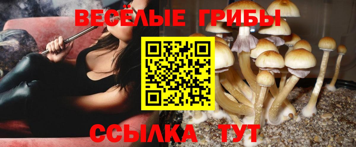 Электрогорск  Галлюциногенные грибы мицелий  Вход с VPN  Псилоцибиновые грибы MAGIC MUSHROOMS 